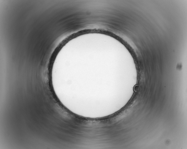 X0000103160927200809192050