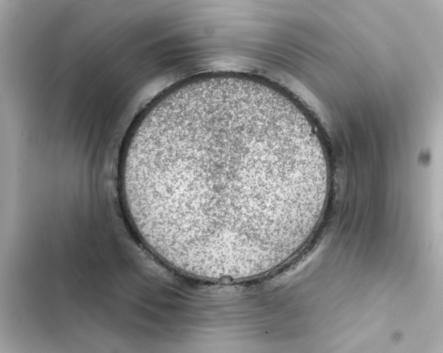 X0000103160930200809192050