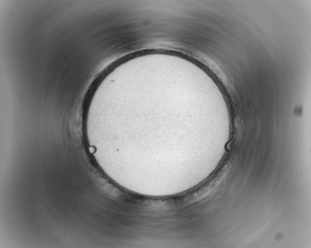 X0000103160931200809192050