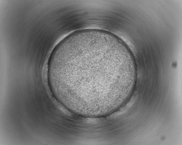 X0000103160933200809192050