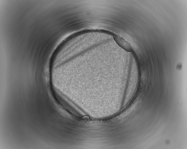 X0000103160934200809192050