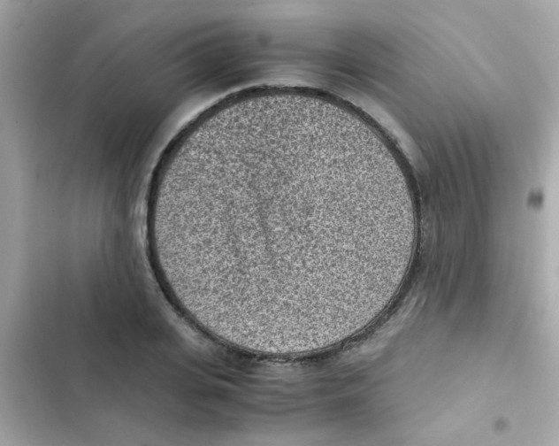 X0000103160935200809192050