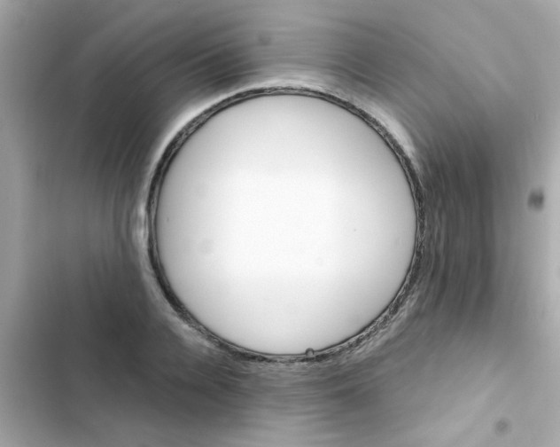 X0000103160936200809192050