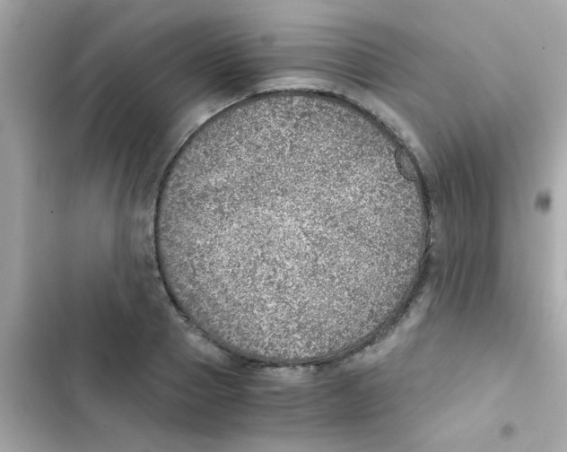 X0000103160937200809192050