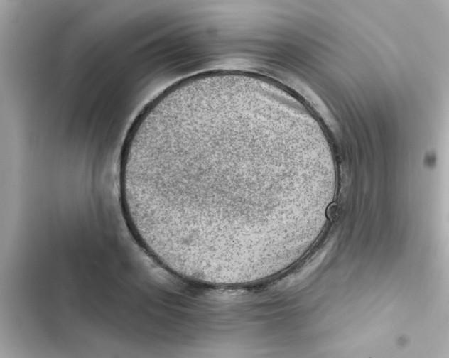 X0000103160939200809192050