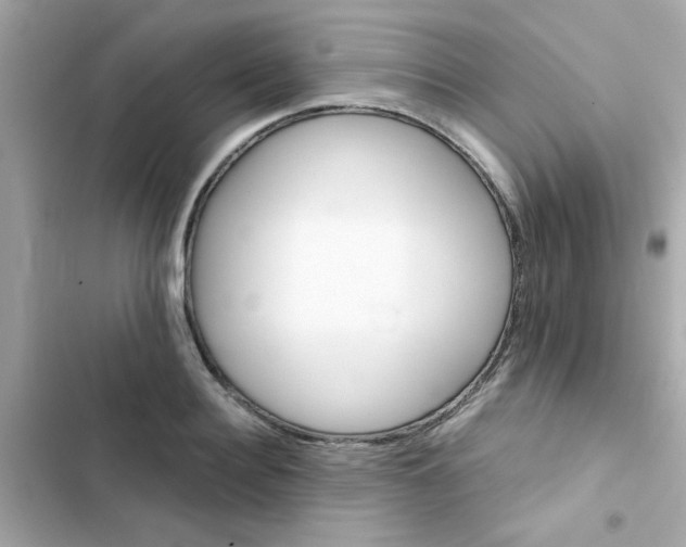X0000103160940200809192050
