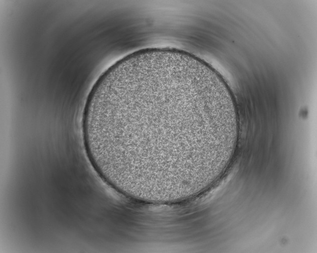 X0000103160943200809192050