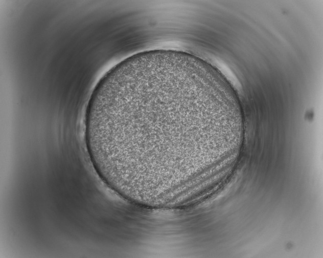 X0000103160944200809192050
