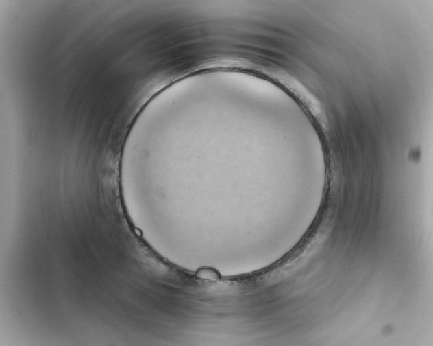 X0000103160945200809192050