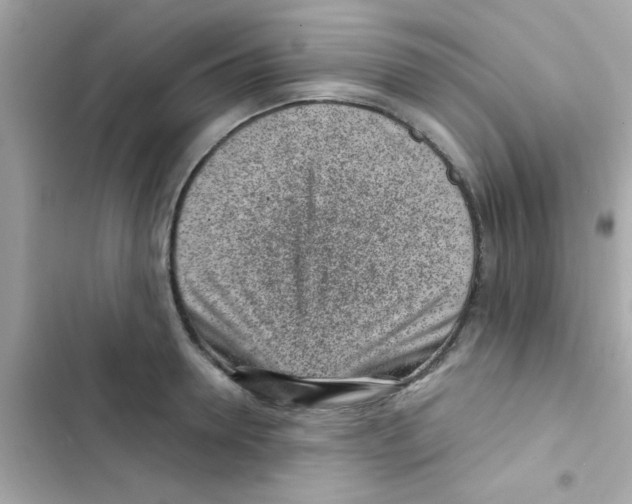 X0000103160946200809192050