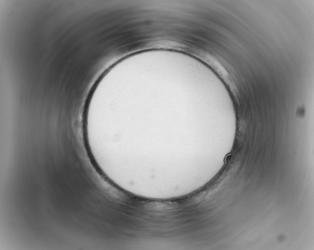 X0000103160947200809192050