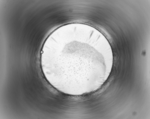 X0000103160948200809192050