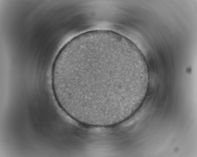 X0000103160950200809192050