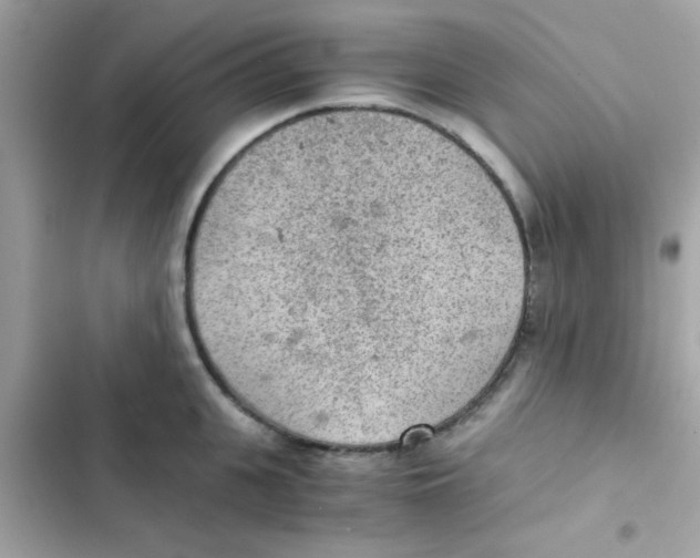 X0000103160951200809192050