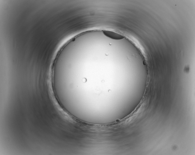 X0000103160952200809192050