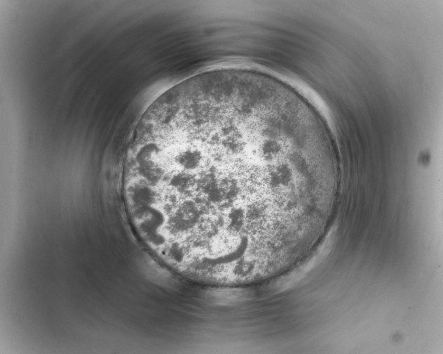 X0000103160953200809192050