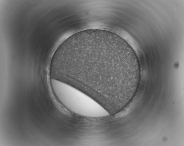 X0000103160954200809192050