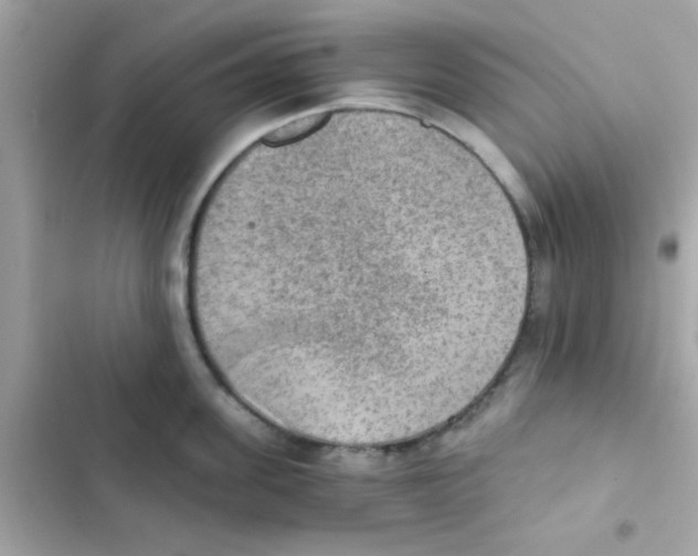 X0000103160955200809192050