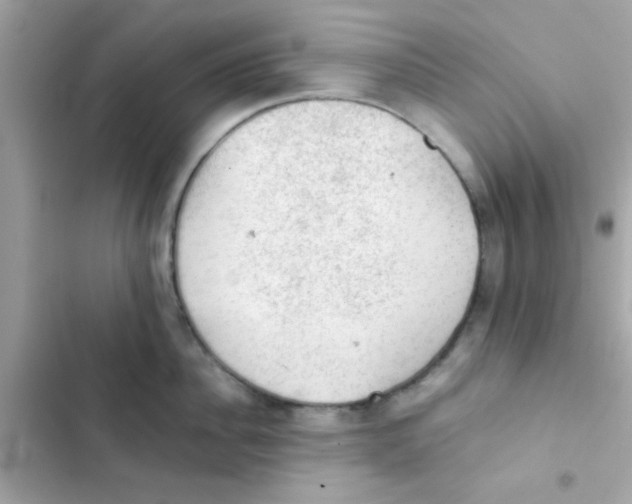 X0000103160956200809192050