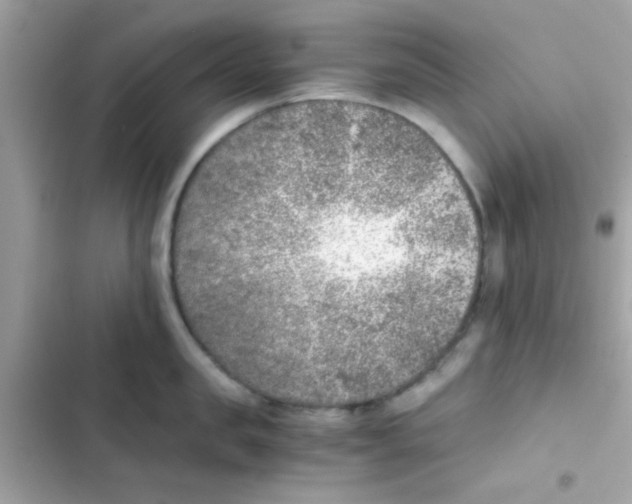X0000103160957200809192050