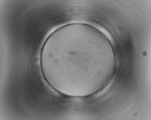 X0000103160958200809192050