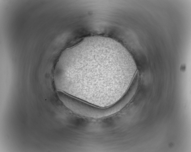X0000103160961200809192050