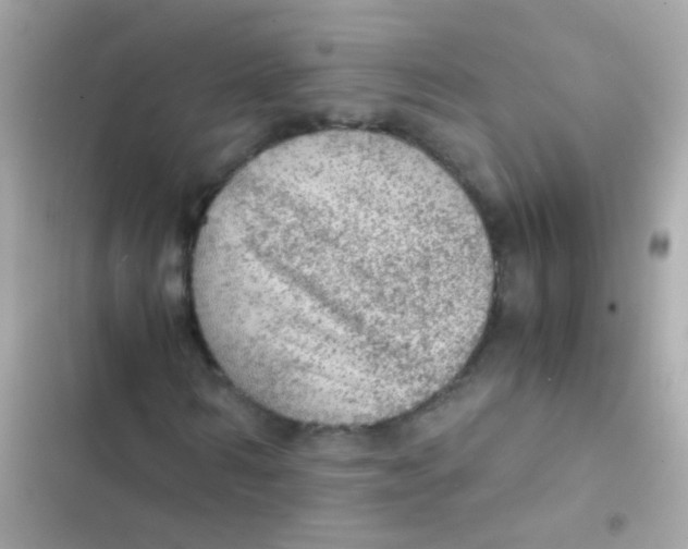 X0000103160962200809192049