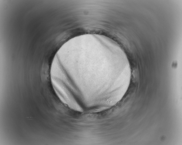 X0000103160963200809192049