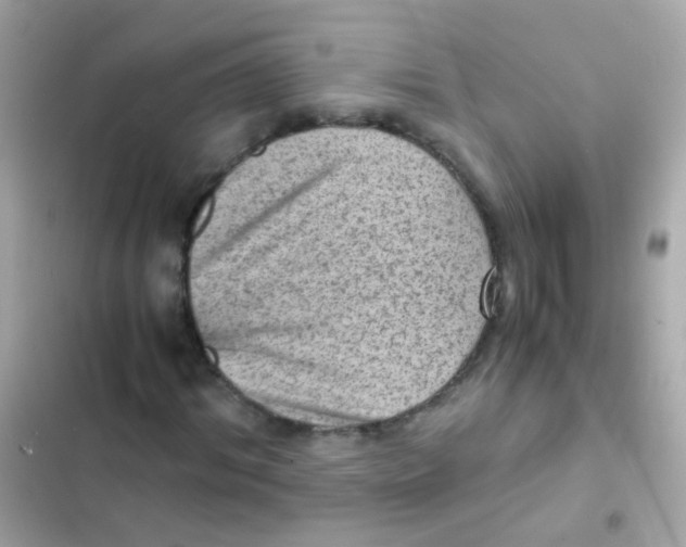 X0000103160964200809192049
