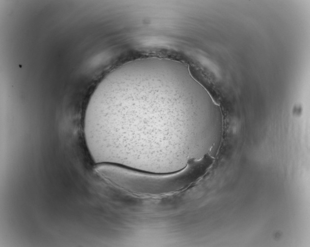 X0000103160965200809192049