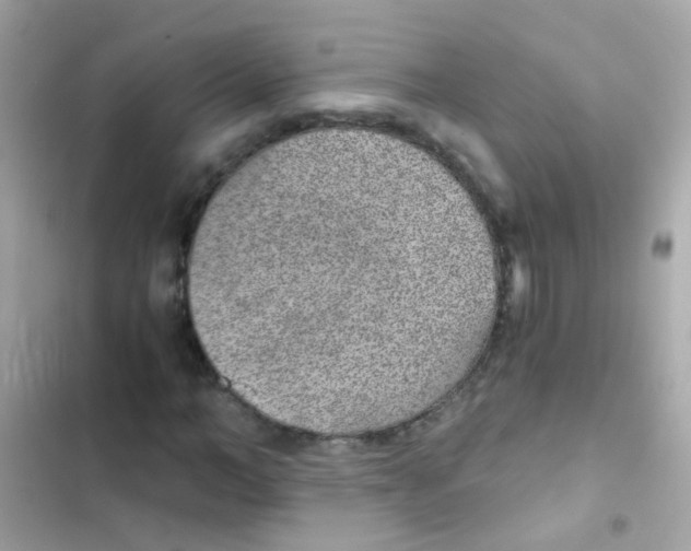 X0000103160966200809192049
