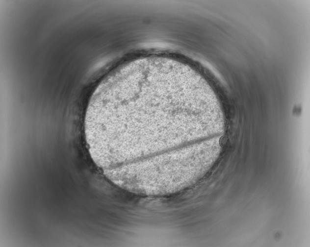 X0000103160967200809192049
