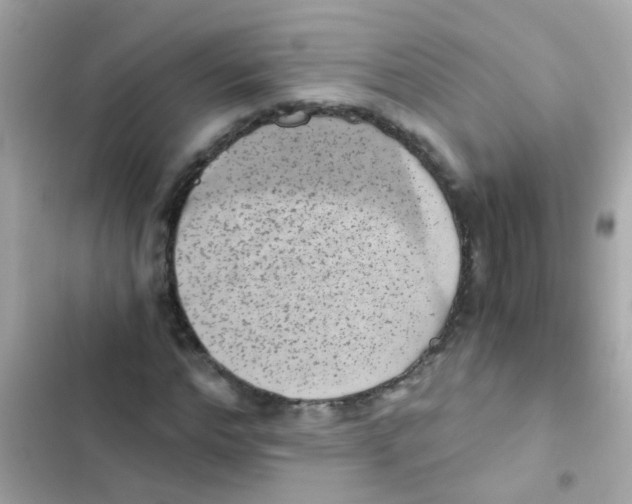 X0000103160968200809192049