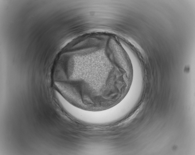 X0000103160969200809192049