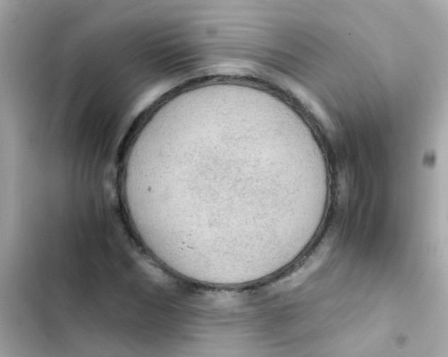 X0000103160970200809192049