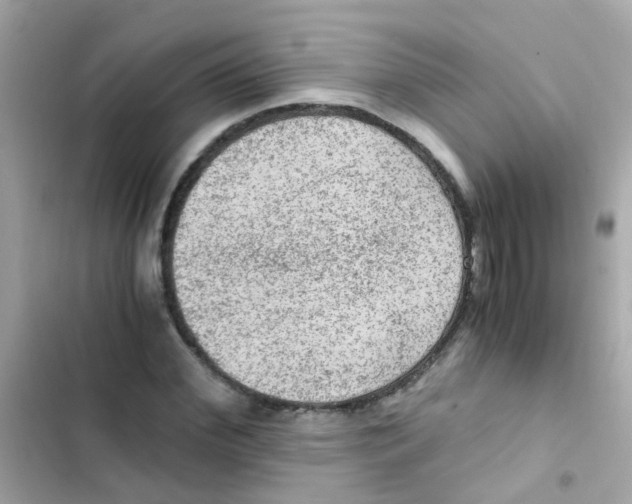 X0000103160972200809192049