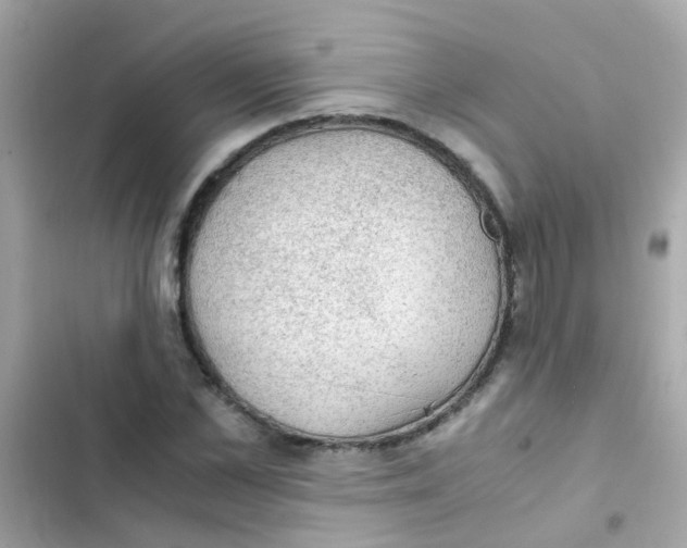 X0000103160973200809192049