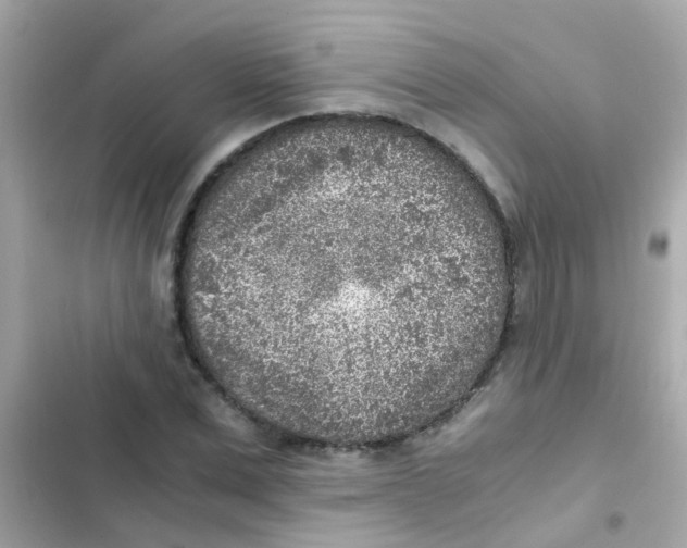 X0000103160975200809192049