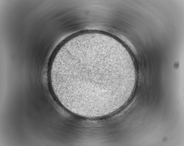 X0000103160976200809192049