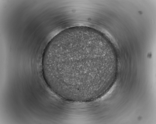 X0000103160977200809192049