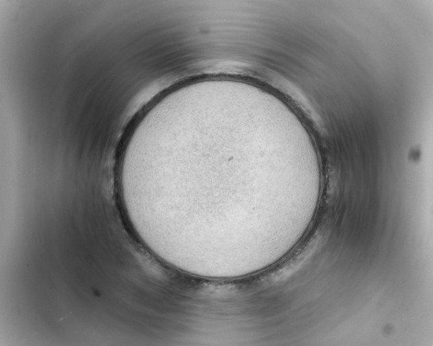 X0000103160978200809192049