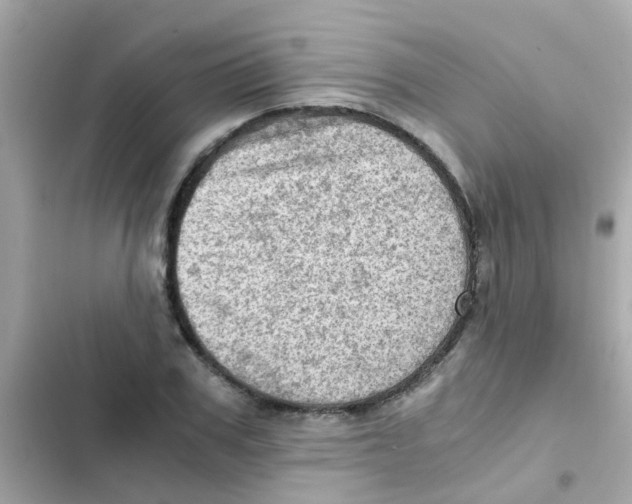 X0000103160979200809192049