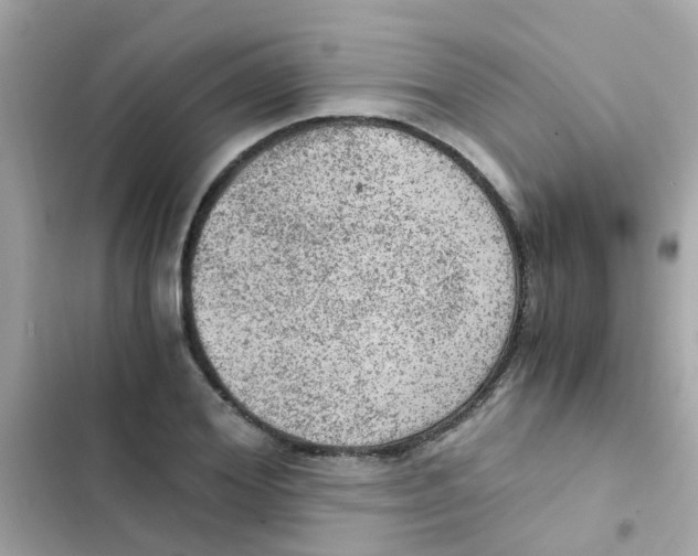X0000103160980200809192049