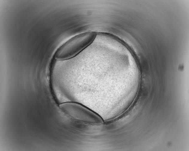 X0000103160981200809192049