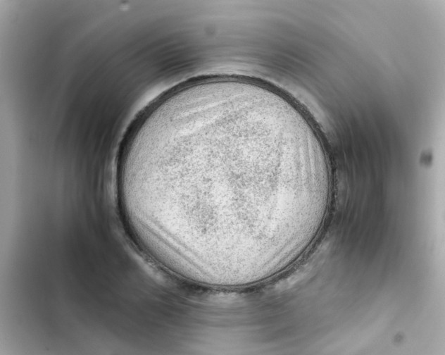 X0000103160982200809192049