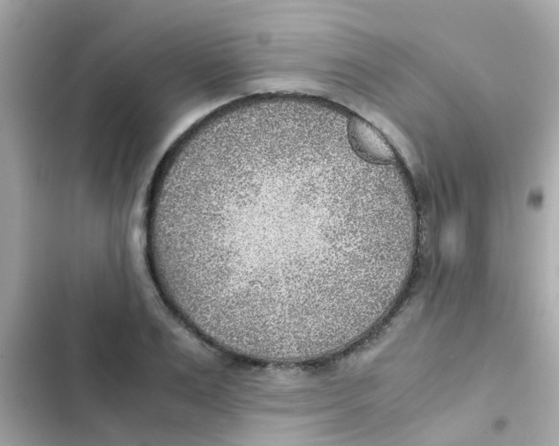 X0000103160983200809192049
