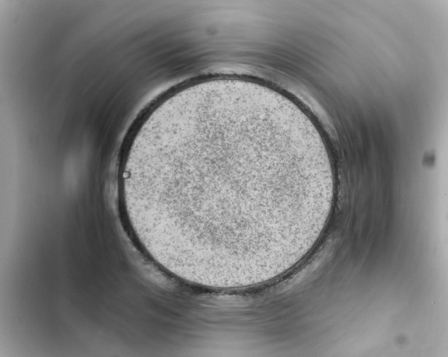 X0000103160984200809192049