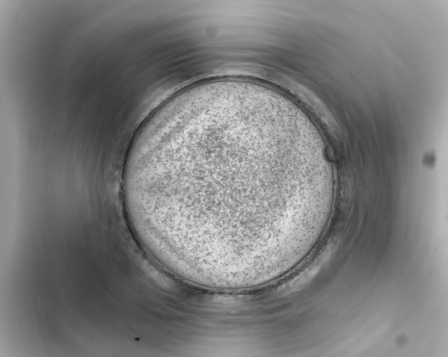 X0000103160985200809192049