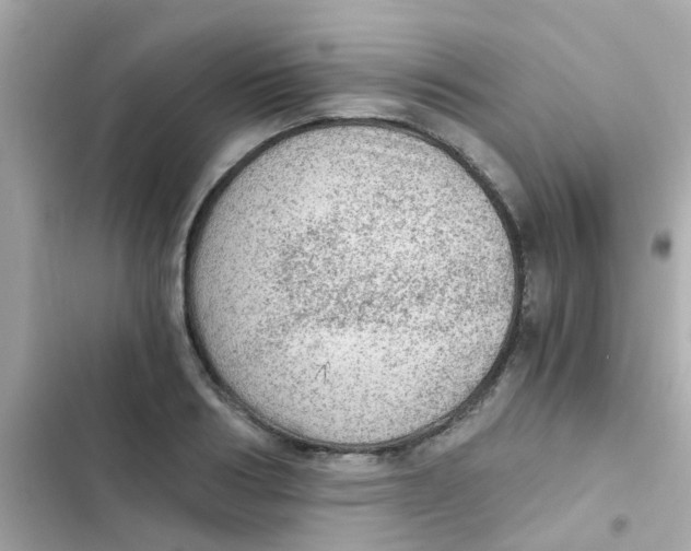 X0000103160986200809192049
