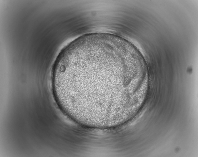 X0000103160987200809192049